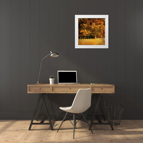 Fence Row White Modern Wood Framed Art Print by Head, Danny