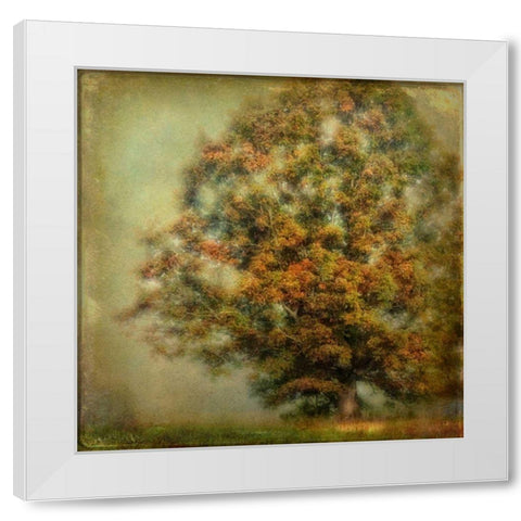Autumns Dream White Modern Wood Framed Art Print by Head, Danny