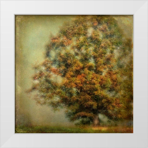 Autumns Dream White Modern Wood Framed Art Print by Head, Danny