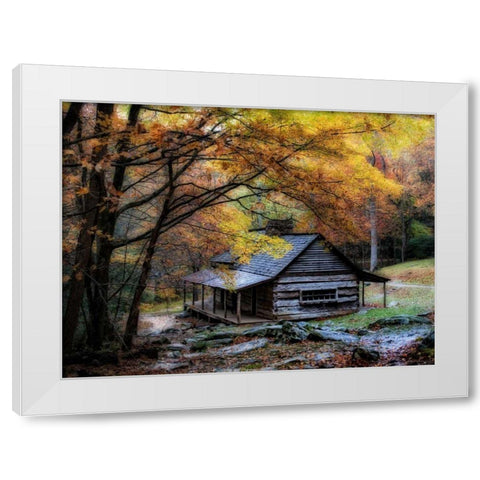 Damp Autumn Day White Modern Wood Framed Art Print by Head, Danny