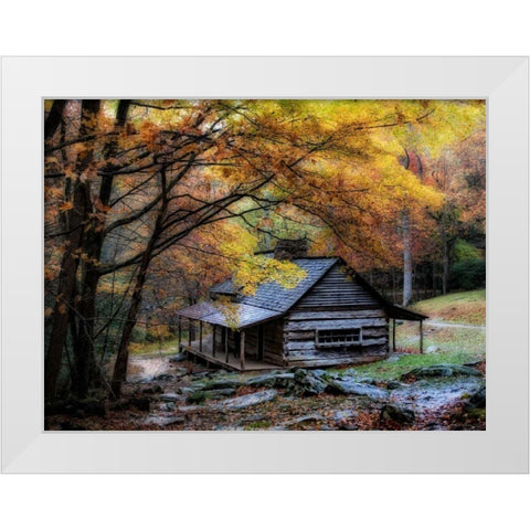 Damp Autumn Day White Modern Wood Framed Art Print by Head, Danny