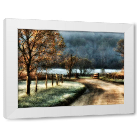 Morning Frost White Modern Wood Framed Art Print by Head, Danny