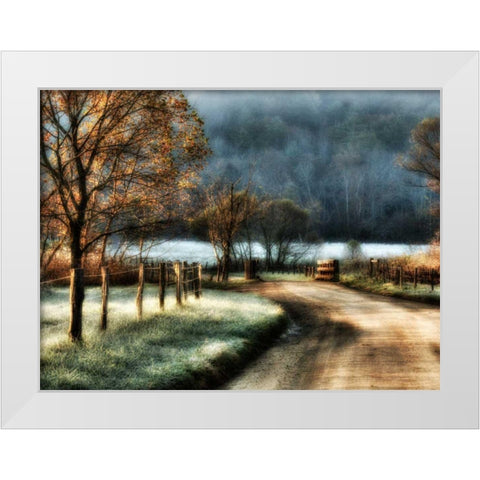 Morning Frost White Modern Wood Framed Art Print by Head, Danny
