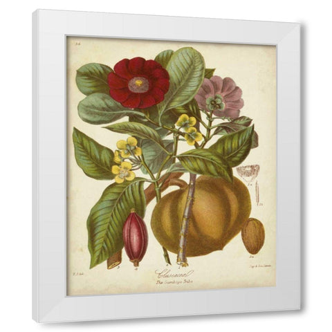 Twining Botanicals I White Modern Wood Framed Art Print by Twining, Elizabeth