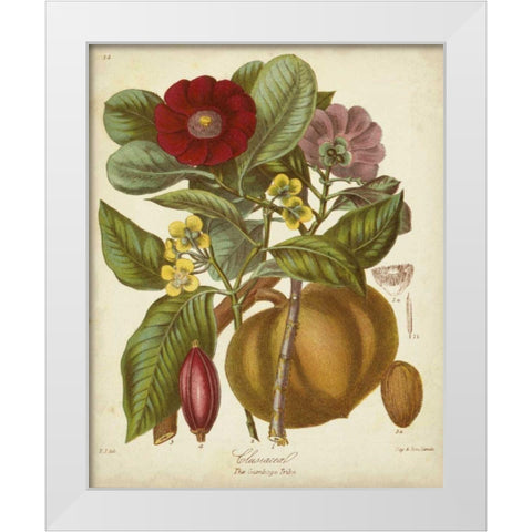 Twining Botanicals I White Modern Wood Framed Art Print by Twining, Elizabeth