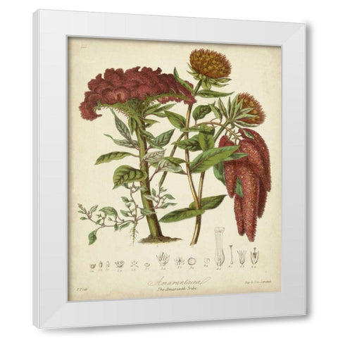 Twining Botanicals II White Modern Wood Framed Art Print by Twining, Elizabeth