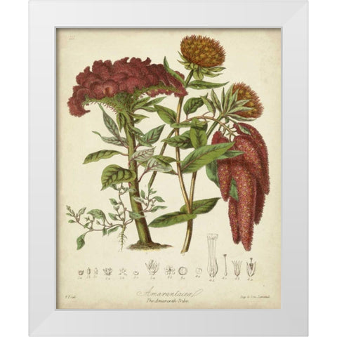 Twining Botanicals II White Modern Wood Framed Art Print by Twining, Elizabeth