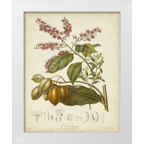 Twining Botanicals IV White Modern Wood Framed Art Print by Twining, Elizabeth