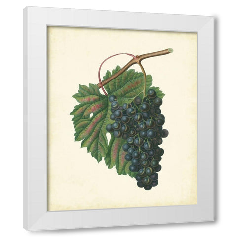 Plantation Grapes I White Modern Wood Framed Art Print by Unknown