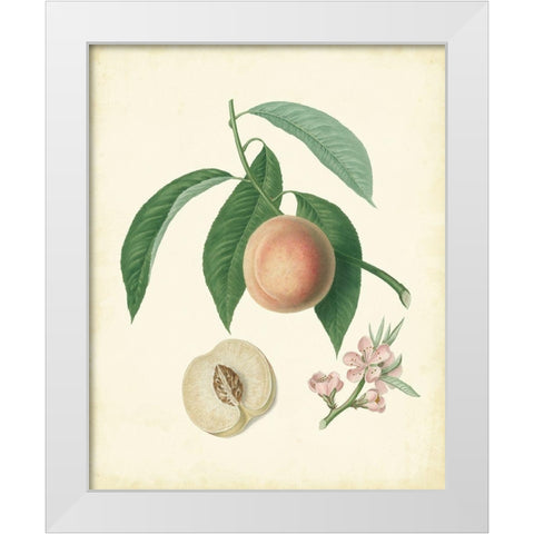 Plantation Peaches I White Modern Wood Framed Art Print by Unknown