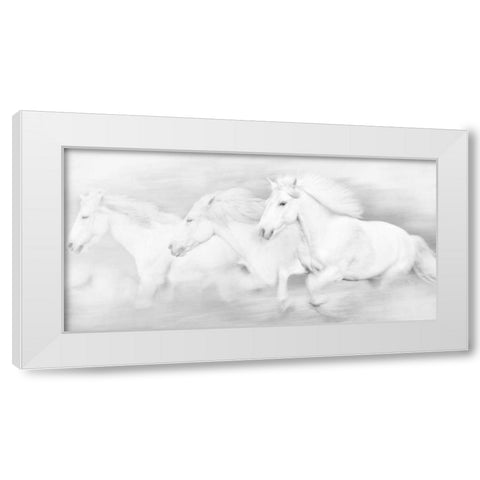 All the White Horses White Modern Wood Framed Art Print by PHBurchett