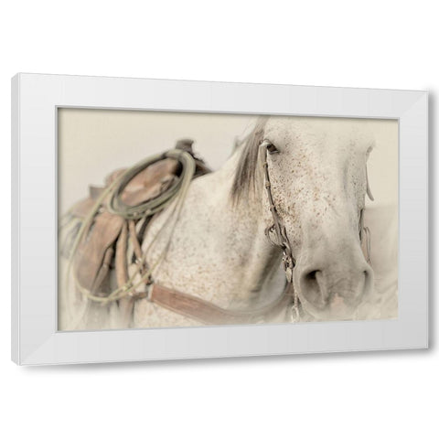 Cow Pony White Modern Wood Framed Art Print by PHBurchett