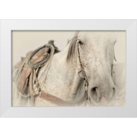 Cow Pony White Modern Wood Framed Art Print by PHBurchett