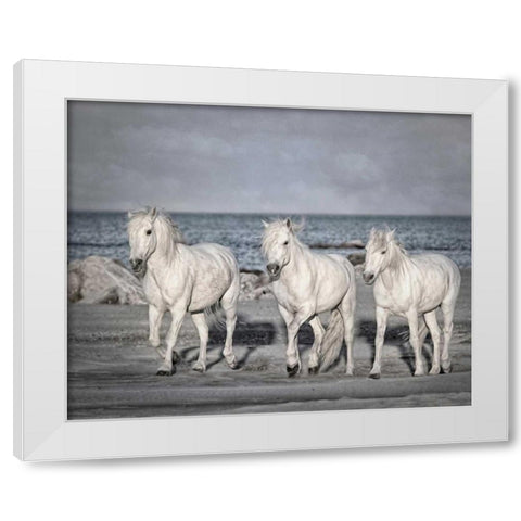 Morning Run White Modern Wood Framed Art Print by PHBurchett
