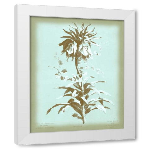Dussurgey Imperiale on Blue White Modern Wood Framed Art Print by Dussurgey, Chabal