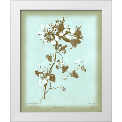 Dussurgey Amaryllis on Blue White Modern Wood Framed Art Print by Dussurgey, Chabal