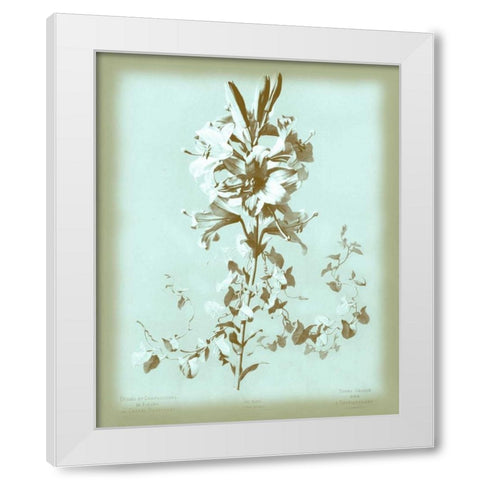 Dussurgey Lilium on Blue White Modern Wood Framed Art Print by Dussurgey, Chabal