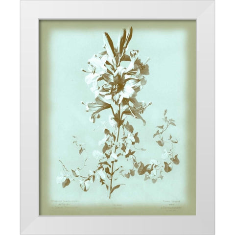 Dussurgey Lilium on Blue White Modern Wood Framed Art Print by Dussurgey, Chabal