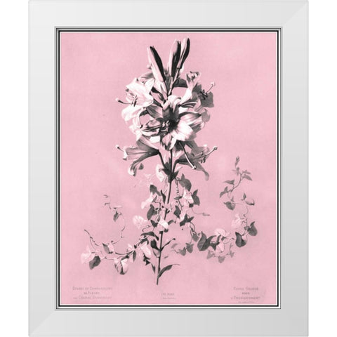 Dussurgey Lilium on Pink White Modern Wood Framed Art Print by Dussurgey, Chabal