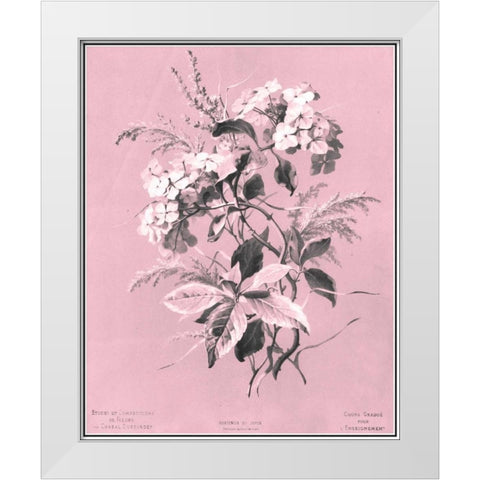 Dussurgey Hydrangea on Pink White Modern Wood Framed Art Print by Dussurgey, Chabal