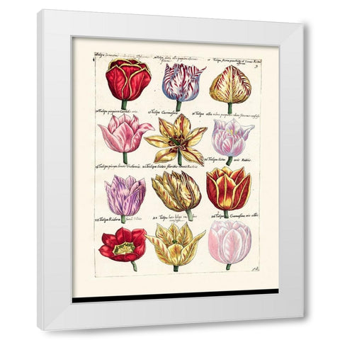 Tulips en Masse I White Modern Wood Framed Art Print by Unknown