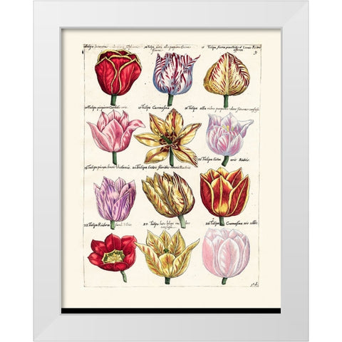 Tulips en Masse I White Modern Wood Framed Art Print by Unknown