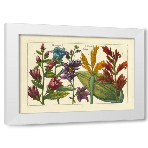 Arena Botanical III White Modern Wood Framed Art Print by Arena