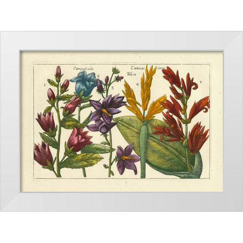 Arena Botanical III White Modern Wood Framed Art Print by Arena