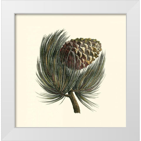 Pignon Pine White Modern Wood Framed Art Print by Unknown
