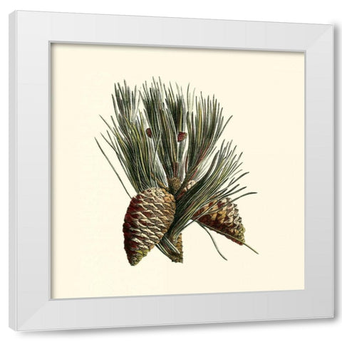 Bordeaux Pine White Modern Wood Framed Art Print by Unknown