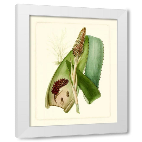 Exotic Flora I White Modern Wood Framed Art Print by Vision Studio