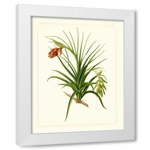 Exotic Flora III White Modern Wood Framed Art Print by Vision Studio