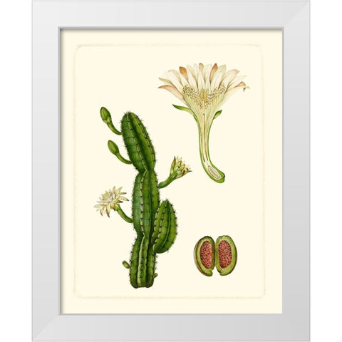 Exotic Flora V White Modern Wood Framed Art Print by Vision Studio