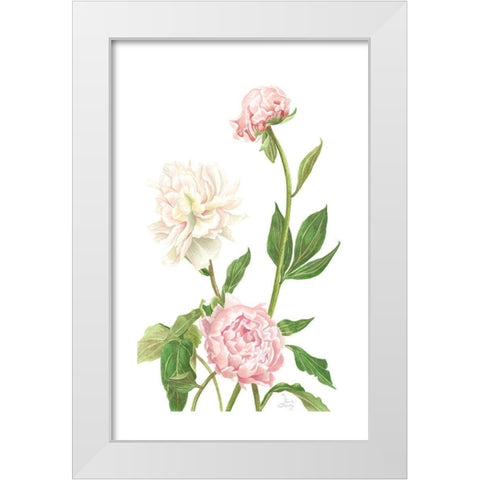 Peony I White Modern Wood Framed Art Print by Shirley, Pamela
