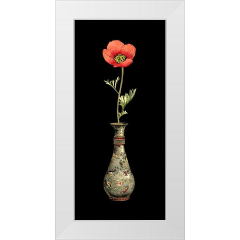 Poppy Magic III White Modern Wood Framed Art Print by Vision Studio