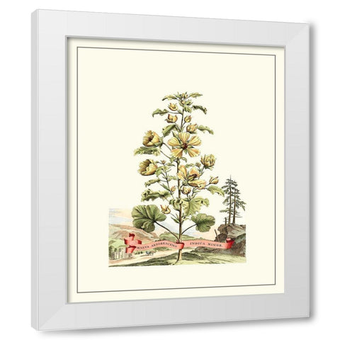 Grandiose View II White Modern Wood Framed Art Print by Munting, Abraham