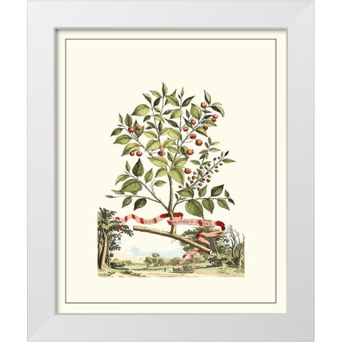 Grandiose View III White Modern Wood Framed Art Print by Munting, Abraham