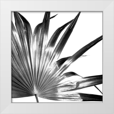 Black and White Palm I White Modern Wood Framed Art Print by Johnson, Jason