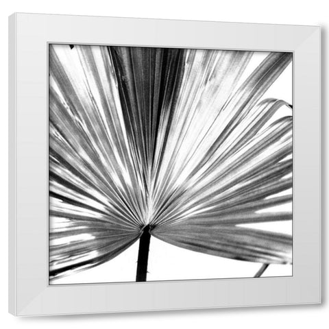 Black and White Palm III White Modern Wood Framed Art Print by Johnson, Jason