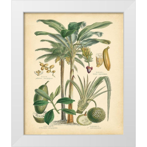 Fruitful Palm II White Modern Wood Framed Art Print by Vision Studio