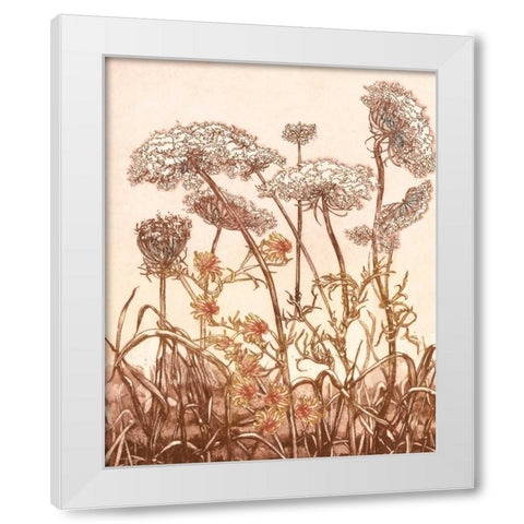 Field of Lace II White Modern Wood Framed Art Print by Dauman, B.