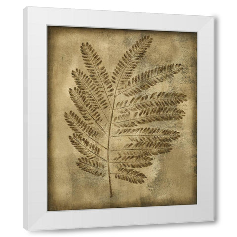 Sepia Drenched Fern II White Modern Wood Framed Art Print by Slocum, Nancy