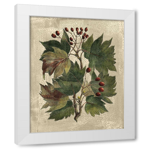 Deshayes Tree I White Modern Wood Framed Art Print by Deshayes, Gerard Paul