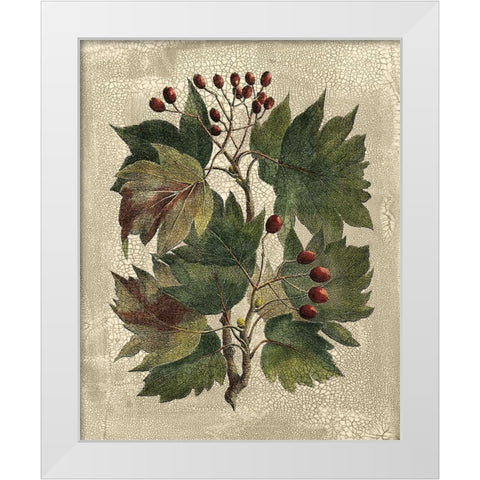 Deshayes Tree I White Modern Wood Framed Art Print by Deshayes, Gerard Paul