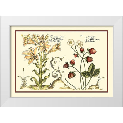 Garden Botanica I White Modern Wood Framed Art Print by Vision Studio