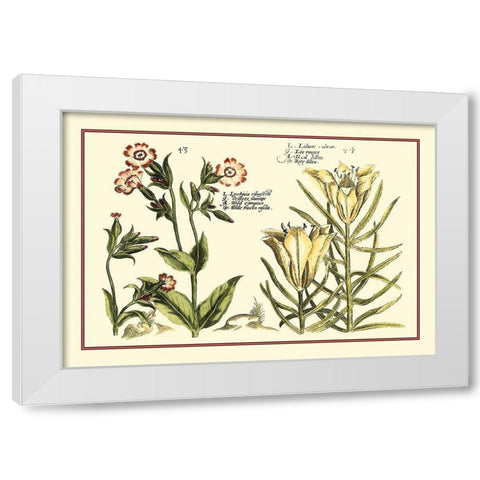 Garden Botanica III White Modern Wood Framed Art Print by Vision Studio