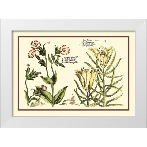 Garden Botanica III White Modern Wood Framed Art Print by Vision Studio