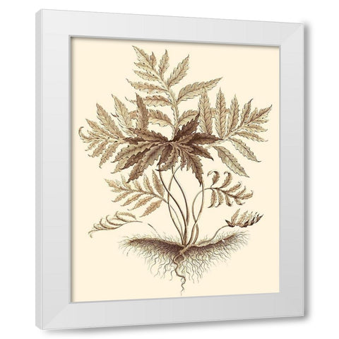 Sepia Munting Foliage IV White Modern Wood Framed Art Print by Munting, Abraham