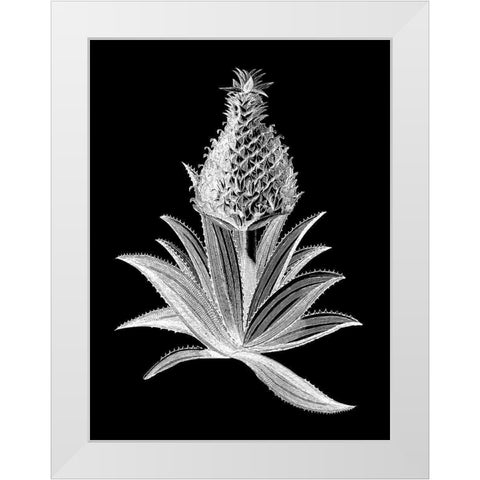 Pineapple Noir I White Modern Wood Framed Art Print by Vision Studio