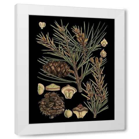 Dramatic Conifers II White Modern Wood Framed Art Print by Vision Studio